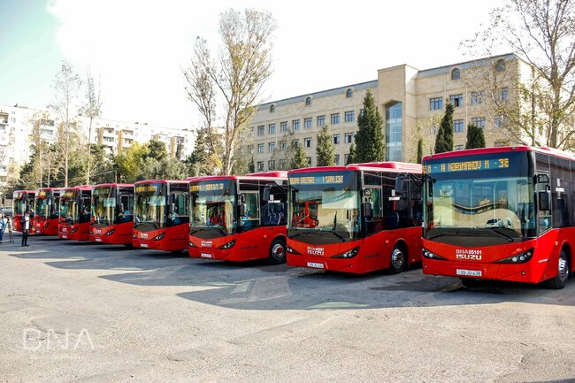 Gülşən Rzayeva: "Yeni avtobusların gətirilməsi əmək bazarının keyfiyyətini artırır"