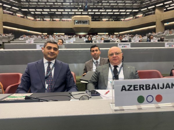 Ekoloqlarımız Cenevrə şəhərində BMT-nin mühüm iclaslarında təmsil olunublar (FOTOLAR)