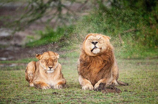 Gülmək istəyirsinizsə, bu fotolara baxın