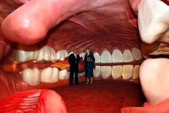 Burada insan ağzının içində gəzirlər - Qəribə məkan