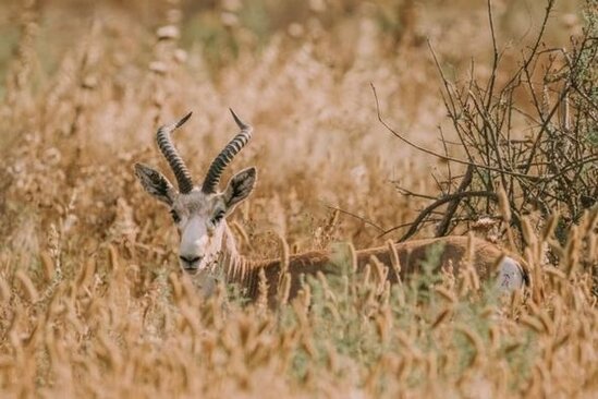 Vətəndaşların NƏZƏRİNƏ: Bazar günü təbiət qoynunda pulsuz istirahət etmək imkanı var - FOTO