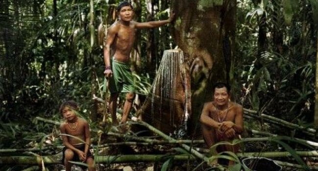 Gündə 20 saat yatan xalqın maraqlı HƏYATI