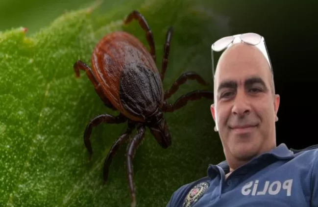 Türkiyədə gənənin dişlədiyi polis öldü