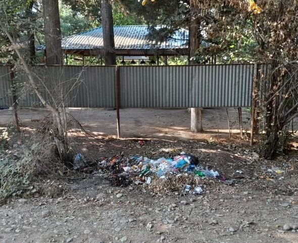 Masallıda ətraf mühiti məişət tullantıları ilə zibilləyən şəxslər barəsində tədbirlər görülüb - FOTO