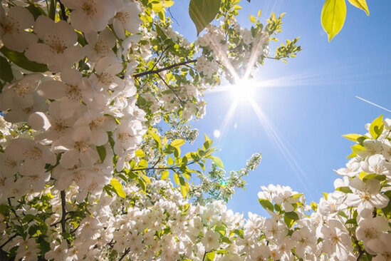 Son iyirmi ildə martın 20-si hava necə olub?