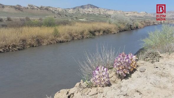 Azərbaycanda Kapadokya ilə müqayisə edilən yeni milli park yaradılır - FOTO