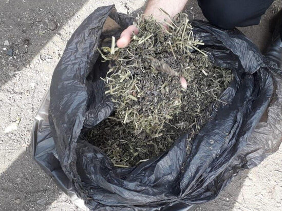 İki qardaş saxlanıldı - Üstlərindən narkotik çıxdı - FOTO