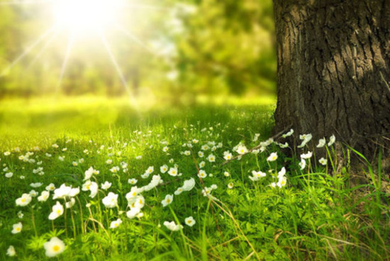 İyulun ilk gününün hava proqnozu