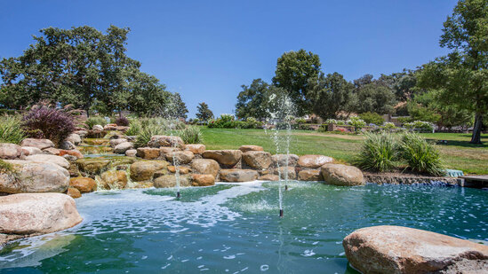 Firəngiz Rəhimbəyova ölümündən 22 gün sonra burada dəfn ediləcək - Fotolar