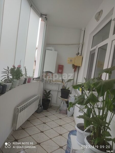 TƏCİLİ SATILIR - FOTOLAR