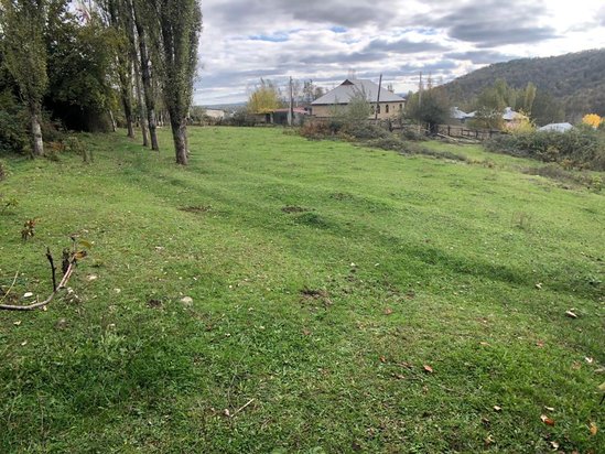 Qəbələ rayon Vəndam kəndində torpaq sahəsi satılır!