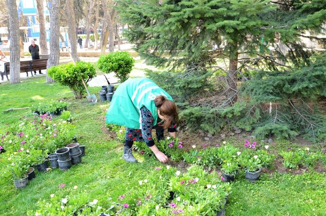 Paytaxtda ümumşəhər daxili iməcliyi keçirilib