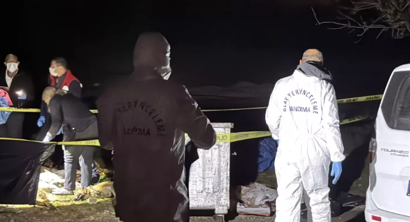 Zibil qutusundan 9 ölü it tapıldı