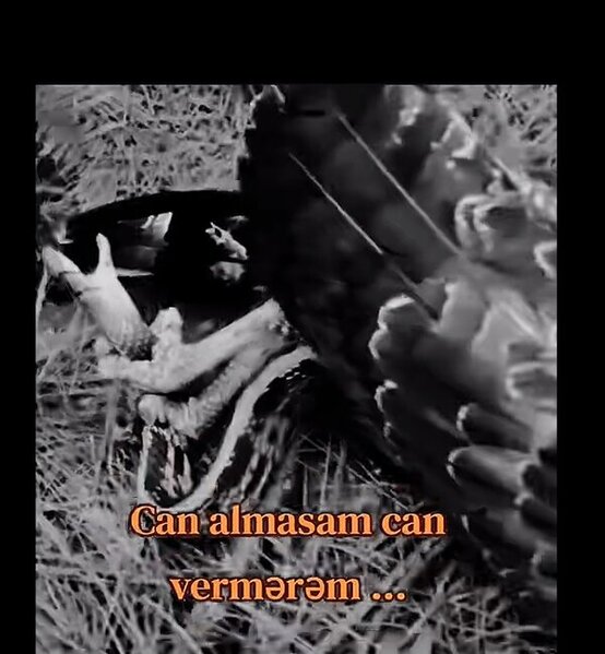 Fatimənin bıçaqlanma anı - Əvvəldən təhdid mesajları yazıbmış-Yenilənib