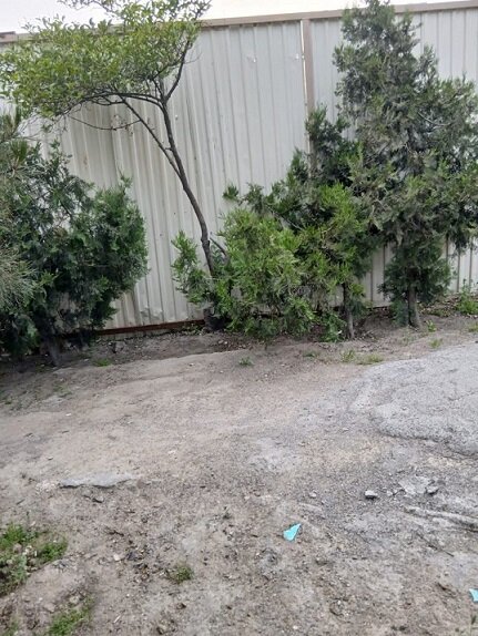 Paytaxtın Nizami rayonunda qanunsuz obyekt inşa edilir? - VİDEO