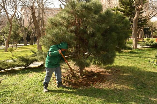 Bakıda Novruz ərəfəsində geniş təmizlik işləri aparılıb