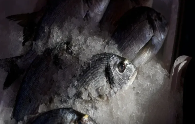 Donmuş balığı xarab etmədən necə əritmək olar?