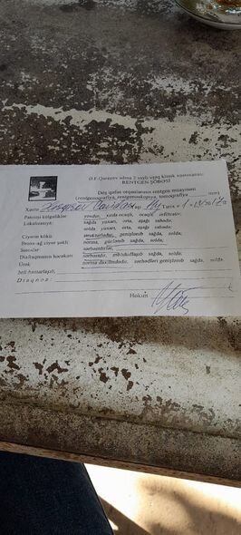 17 yaşlı Cavidanın anası fəryad edir: "Nə yemək yeyə, nə su içə bilir, yardıma ehtiyacımız var" - FOTO