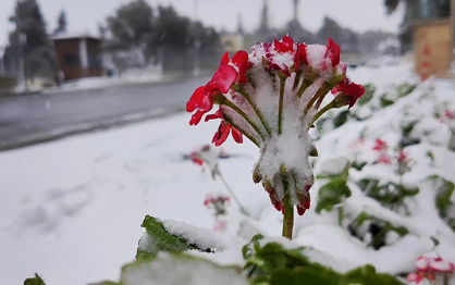 Sabah qar yağacaq