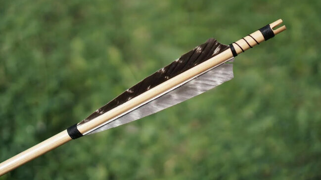 60 min illik zəhərli ox ucluqları kəşf edildi: Bu nə deməkdir?