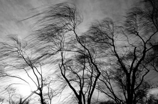 Bu ərazilərdə külək güclənəcək - XƏBƏRDARLIQ