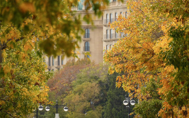 Sabah hava necə olacaq?