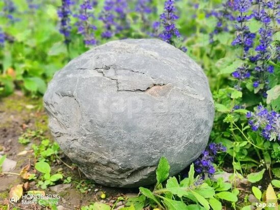 Azərbaycanda 100 min manata kometa satılır - FOTO