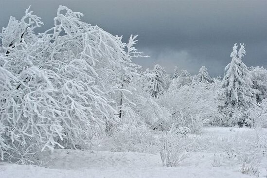 Bu qəsəbədə havanın temperaturu -44 dərəcəyə düşdü