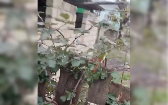 Ev sahibini öldürüb üstündə it damı tikdi - Xaçmazda dəhşətli qətl