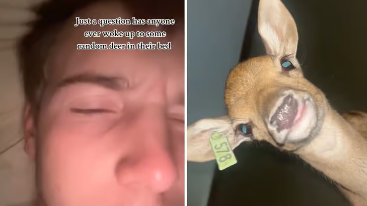 Sərxoş olduqdan sonra yatağında MARAL İLƏ OYANDI - VİDEO