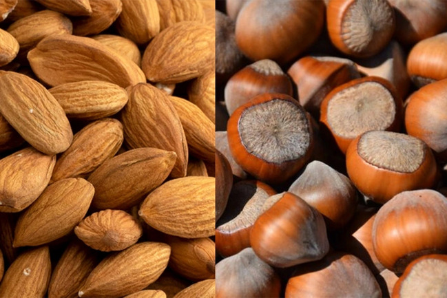 Azərbaycan Çinə fındıq və badam ixracını artıracaq