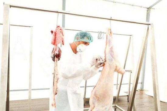 Ağalıda çadır tipli heyvan kəsimi məntəqəsi fəaliyyətə başlayıb - FOTO