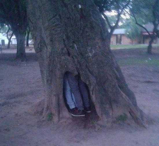 Azərbaycanda BİABIRÇILIQ: Ağacın koğuşunda sevişdilər - FOTO