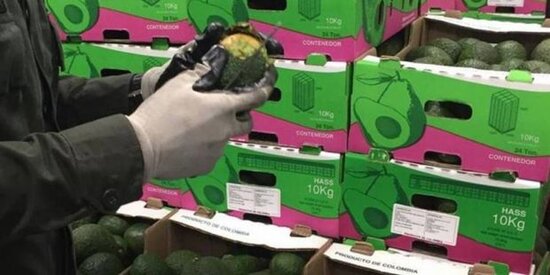 Yarım ton kokain avokadoda gizlədildi