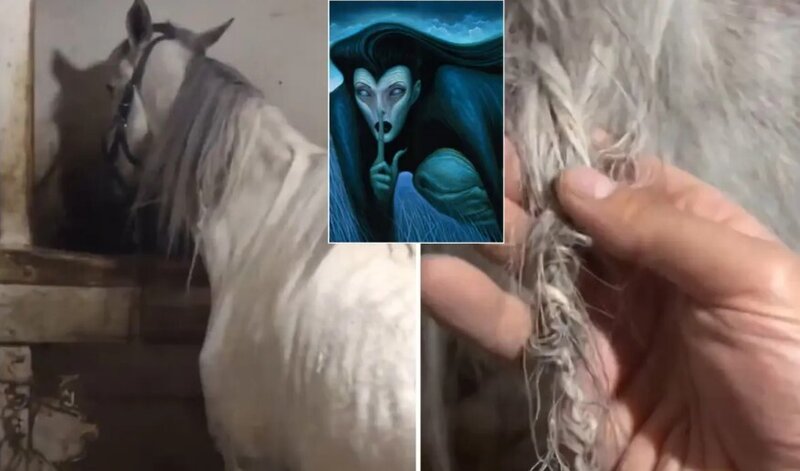 Axura gedən kişi gördüyü mənzərə qarşısında heyrətə gəldi - VİDEO