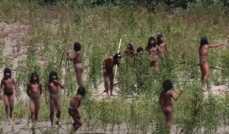 Amazon meşələrində müasir dünya ilə təması olmayan qəbilənin nadir görüntüləri yayılıb - VİDEO