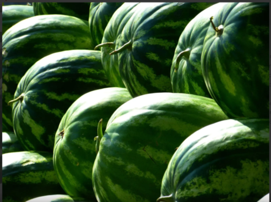 Yaxşı qarpızı necə seçmək olar