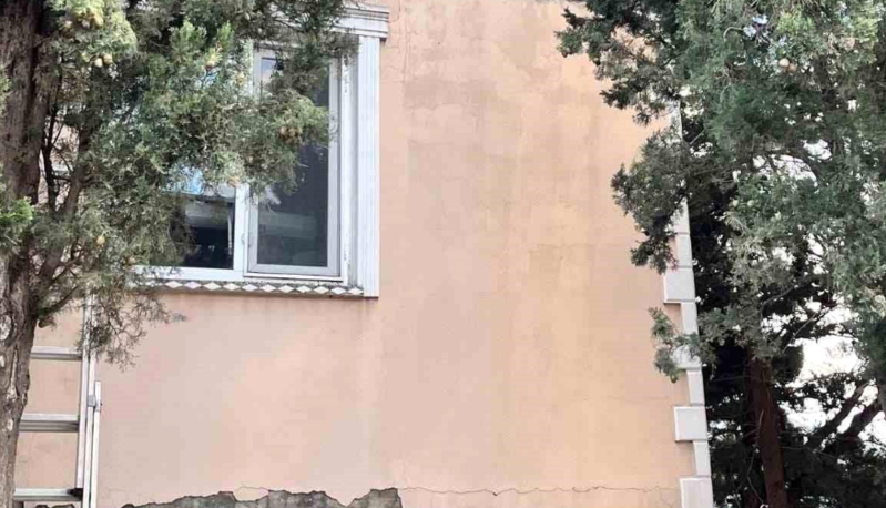 Ağacda köməksiz qalan pişiyi görün necə xilas etdilər