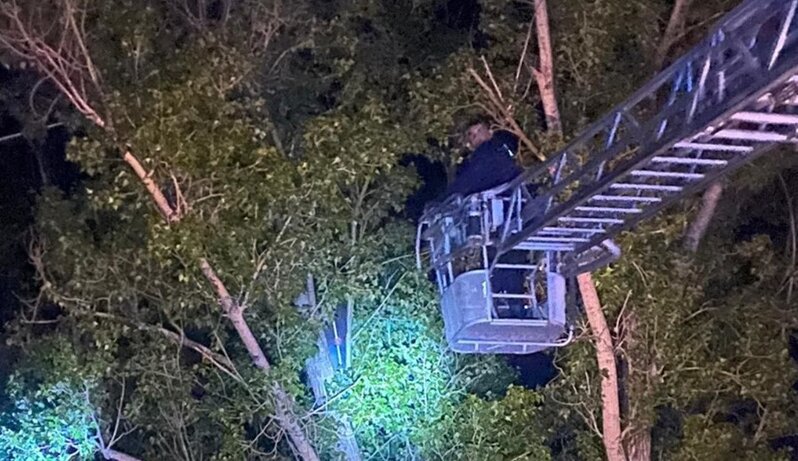 Dronuna görə ağaca çıxan kişi köməksiz vəziyyətdə qalıb