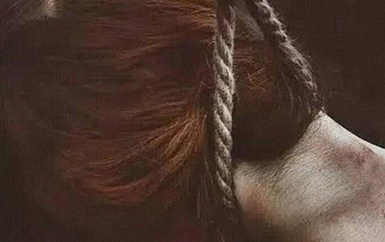 Azərbaycanda özünü asan müəllimənin əri ilə bağlı məlumat -Özəl