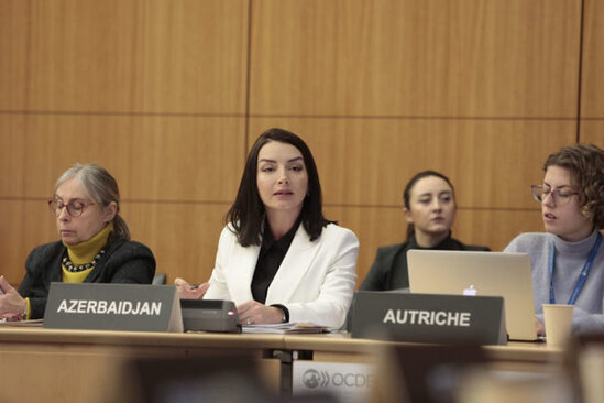 Leyla Abdullayevadan "Charlie Hebdo" jurnalına sərt cavab - FOTO