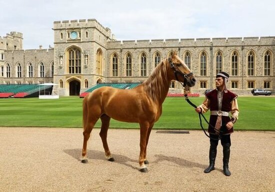 İlham Əliyevin hədiyyəsi Kraliça II Elizabetə təqdim olunub - FOTO/VİDEO