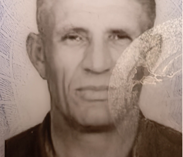 Tikintidə faciə: Ata oğlunun gözü qarşısında həlak oldu - VİDEO