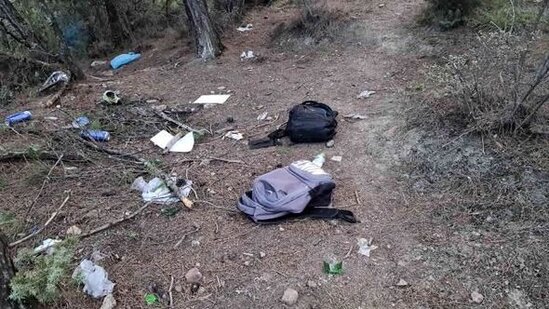 Məktəblilər ağaca asılı halda tapıldı - FOTO