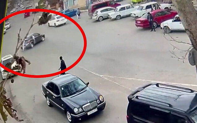 Toy karvanlarına qoşulub "avtoş"luq etdilər - Video