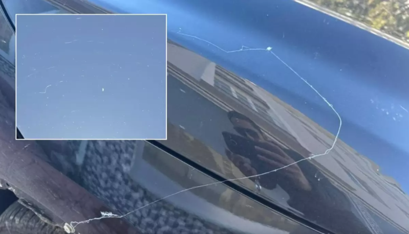 Maraqlı təbiət hadisəsi: Göydən hörümçək toru yağdı - VİDEO