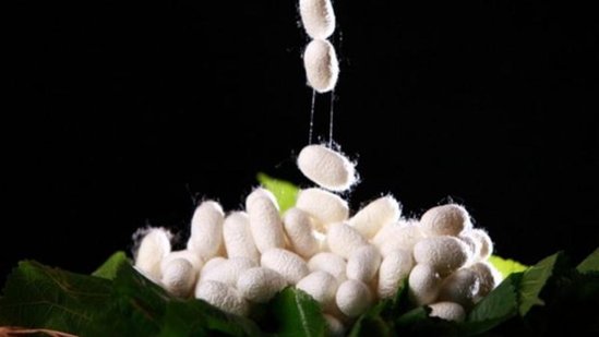 Şad xəbər! Azərbaycanda 150 min nəfərlik iş yeri, 10 milyonlarla gəlir