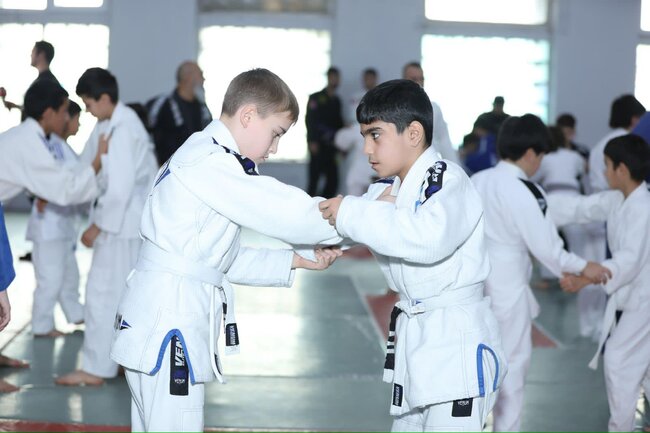 Azərbaycan Braziliya Ciu-citsu Klubu İctimai Birliyinin təşkilatçılığı tərəfindən "Seçilmişi seçməyə ehtiyac yoxdur!" adlı seminar keçirilib