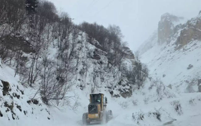 Türkiyədə 3 çoban qar uçqununa düşdü - Axtarış aparılır