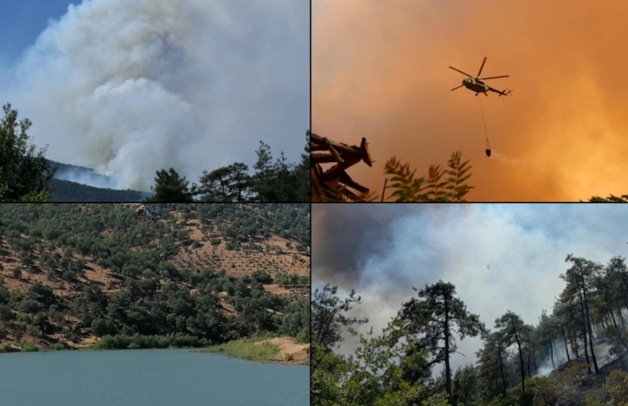 Türkiyədə meşələrə giriş qadağan olundu